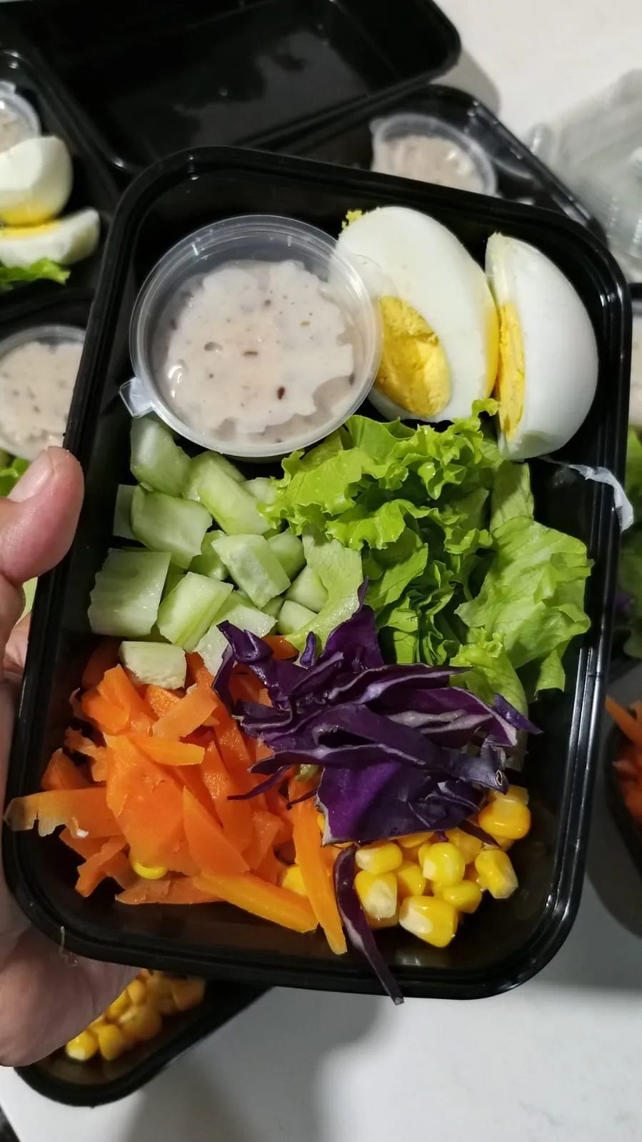 Salad Xtra Sayur